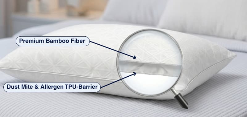 Top-down — sleeper on RiseLab